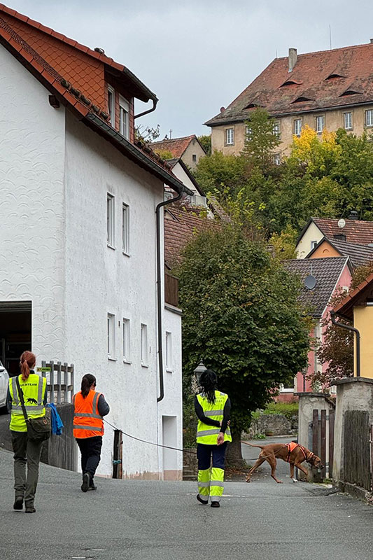 Mantrailing mit dem Lionhound